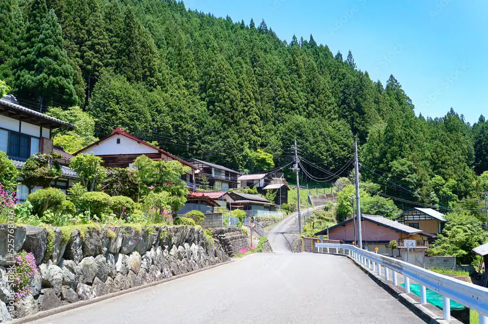 ギャラリー画像6